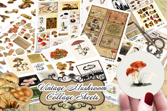 Download Vintage Mushroom Mycology Collage Sheets - Sheet Collection